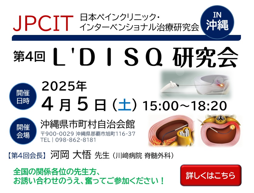 第４回 Ｌ'ＤＩＳＱ研究会 in 沖縄（2025.4.5）